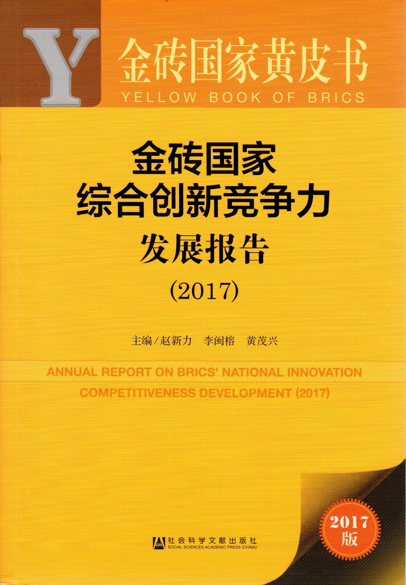 操美女逼视频在线观看免费看金砖国家综合创新竞争力发展报告（2017）